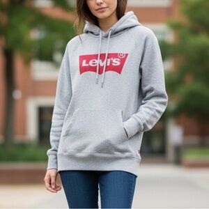 Levi’s Classic Batwing Logo Hoodie Grey Heather Sz Small